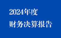 節(jié)能國禎2024年度財(cái)務(wù)決算報(bào)告（簡版）